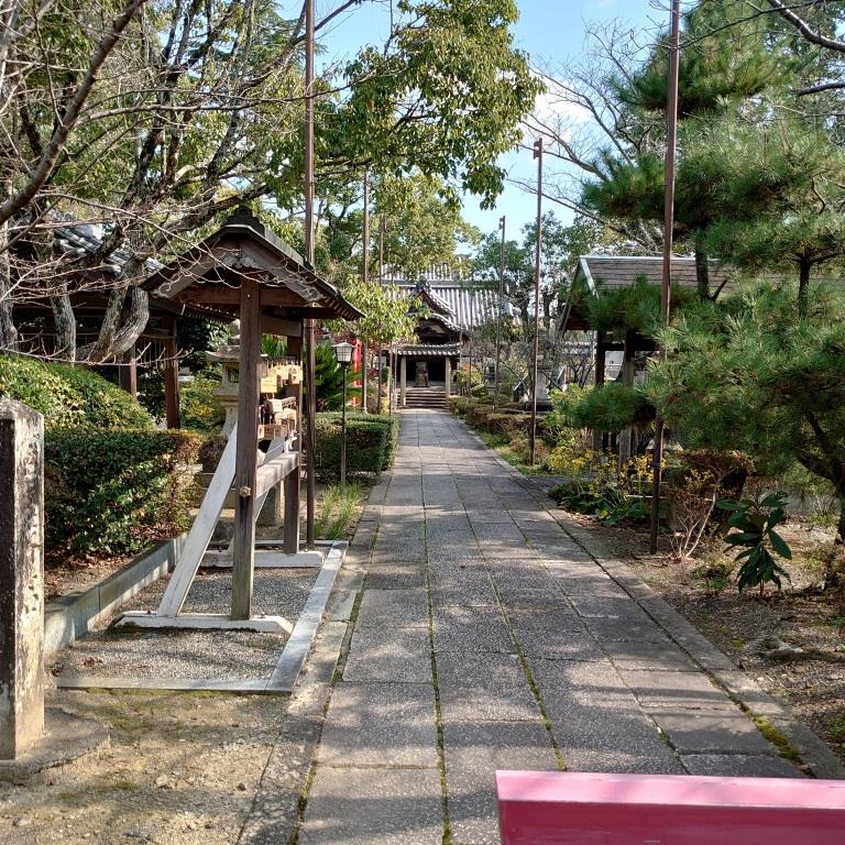 堺市南区にある上神谷の妙見山感應寺に、父と紅葉を観に行ってきました。